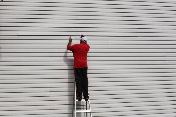 Professional Siding in Towanda, KS